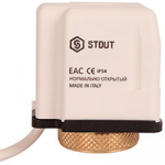 Stout